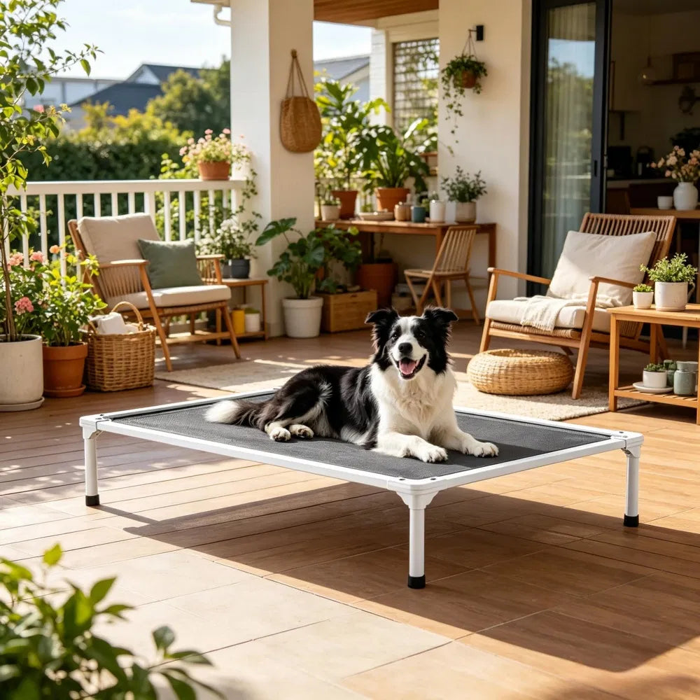 Elevated Dog Bed for Bedroom, Space-Saving