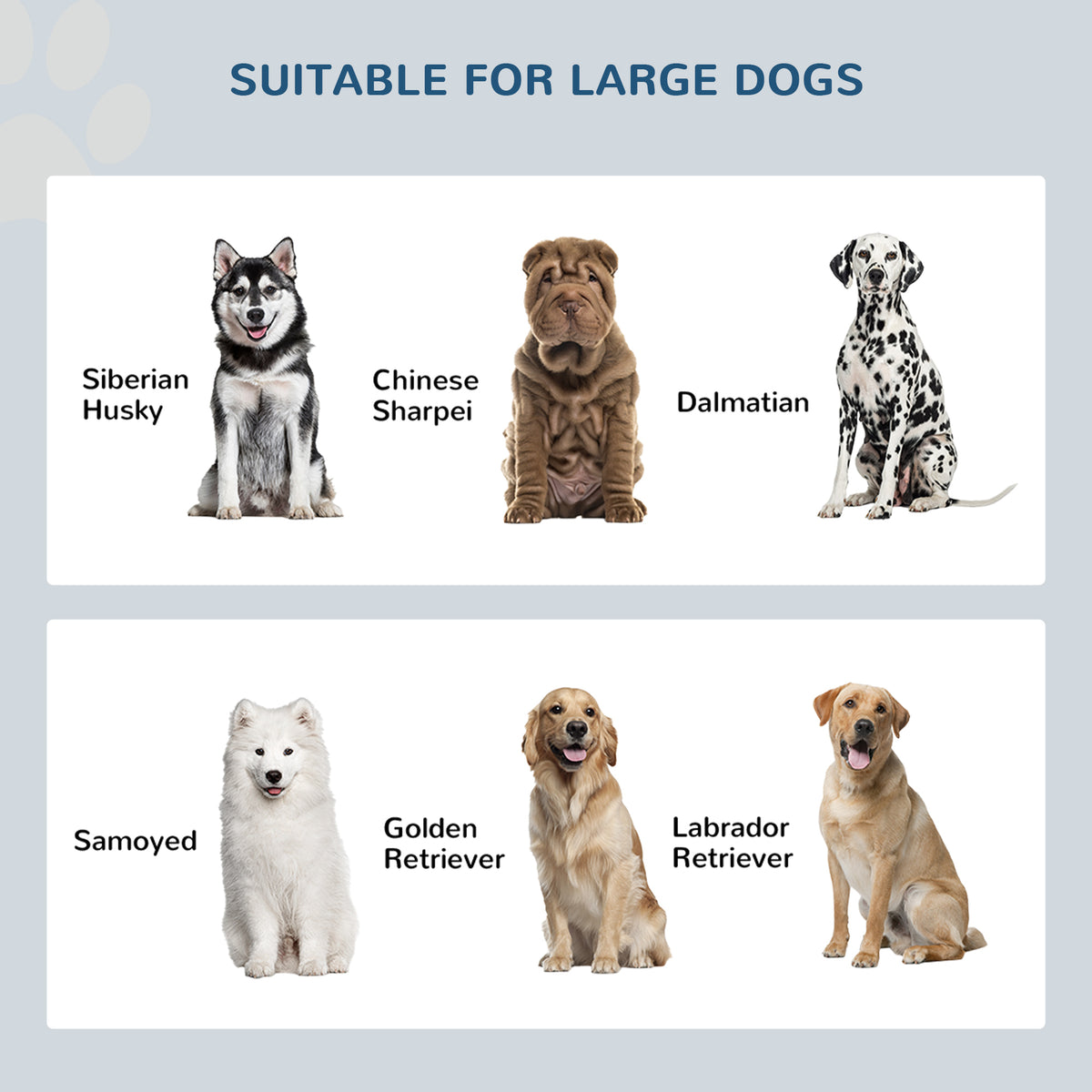 Elevated Dog Bowl Station with 44L Storage Cabinet