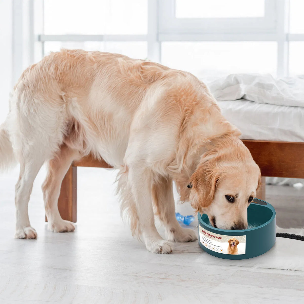 Heated Water Bowl for Dogs & Cats, 74.4oz IP67 Waterproof