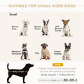Luxury Small Dog Bed with Hidden Storage